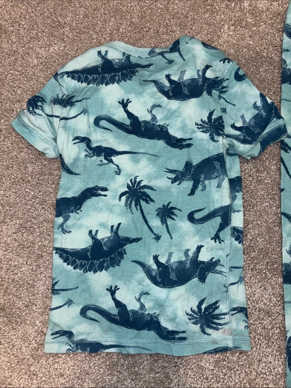 GAP Organize Teal and Navy Dinosaur Print Pajama Set